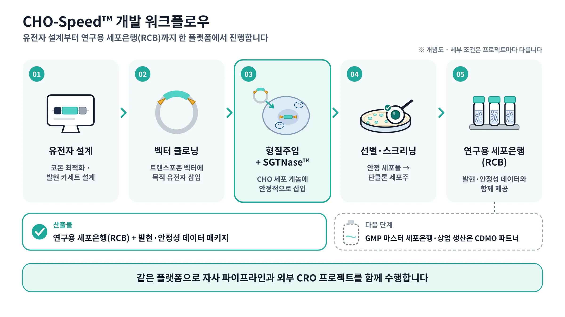 CHO-Speed workflow: gene design, vector cloning, transfection with SGTNase, selection and screening, research cell bank